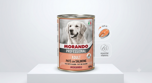 MORANDO Professional Adult Salmon Pate Wet Dog Food - 400g