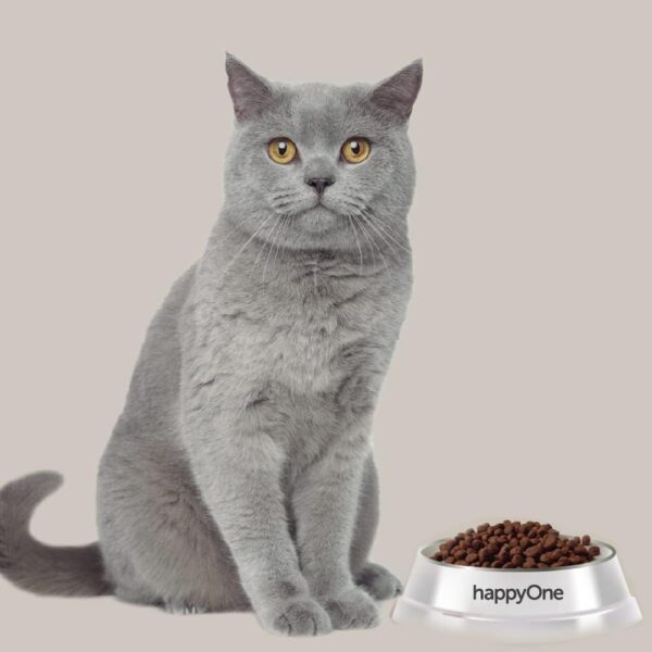 ⁦Happy one 10 kg⁩ - الصورة ⁦4⁩