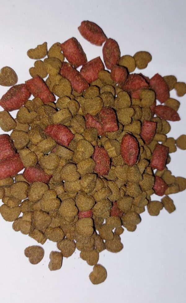⁦Zee Dry Food for Cats Contains Dried Chicken Meat and Fish 1.5kg⁩ - الصورة ⁦3⁩