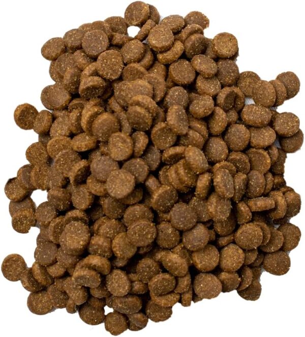 ⁦Doodzy Classico Cat Dry Food 20 kg⁩ - الصورة ⁦5⁩