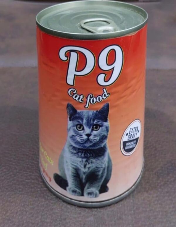 ⁦p9 cat food⁩ - الصورة ⁦5⁩
